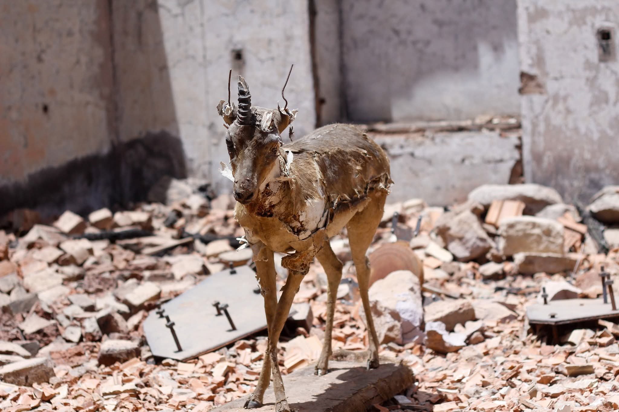 أنقاض الحياة