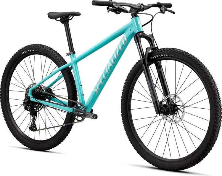 SPECIALIZED ROCKHOPPER EXPERT 29 - Review, Test & Price