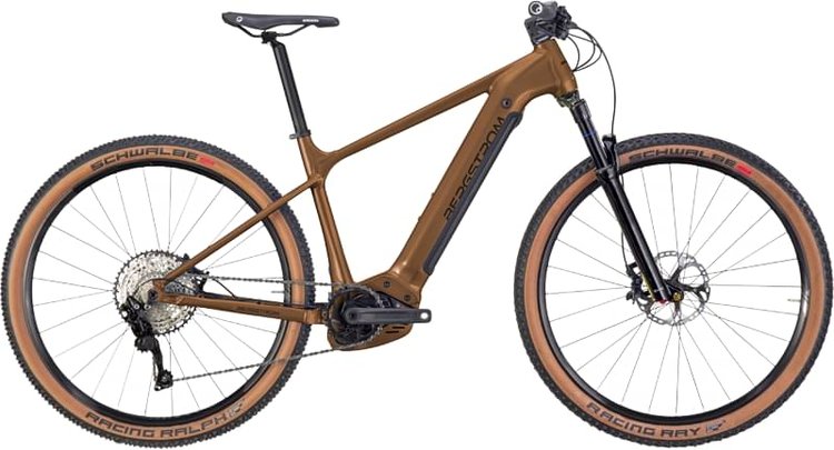 BERGSTROM XCV 729 2022 - Review, Test & Price
