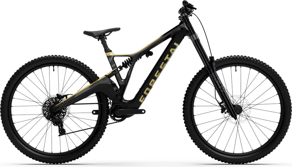 Batterie E-Bike 36V 17Ah (630Wh) LION - Compatible Husqvarna Extrem Cross 10