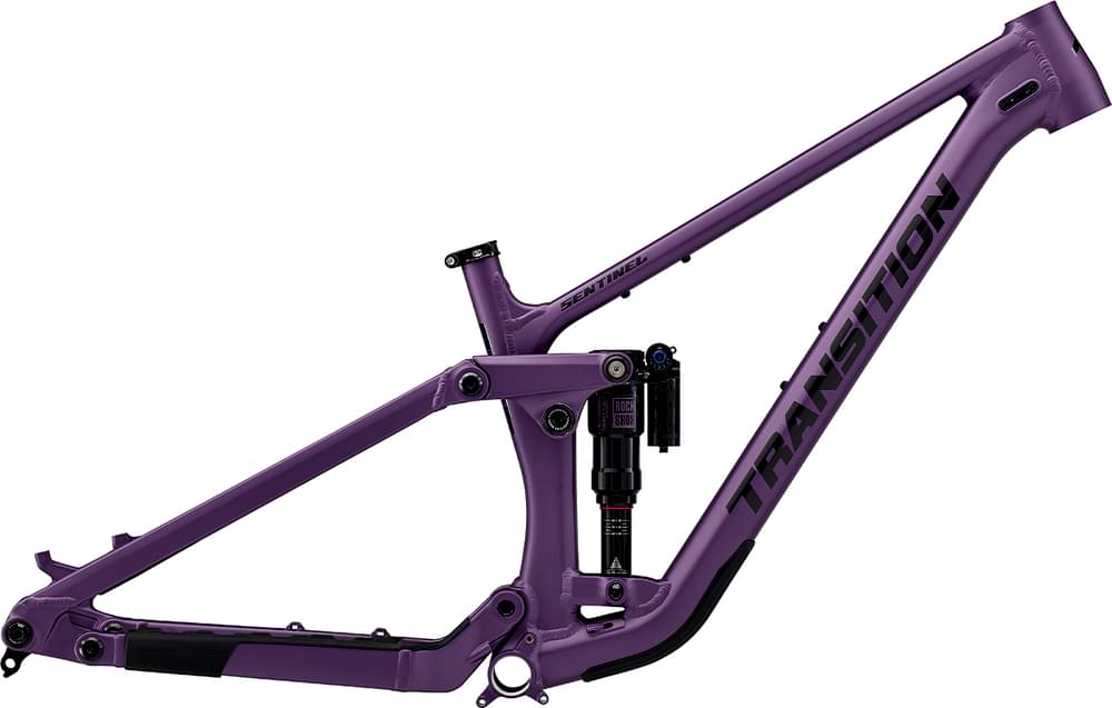 CANYON TORQUE 5 - Specs, Review, Test & Price
