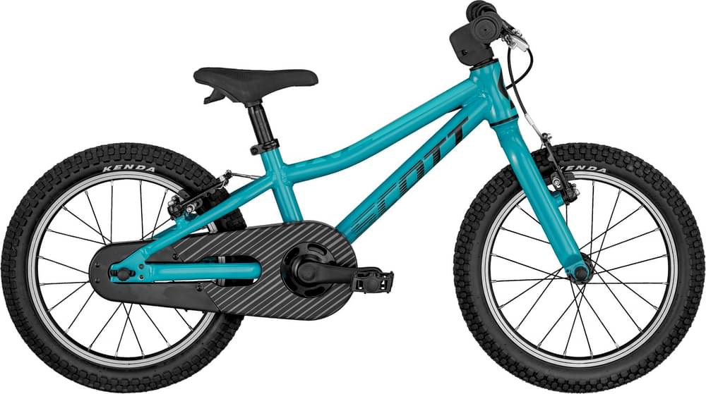SCOTT SCALE 16 - Test, Erfahrungen & Preis