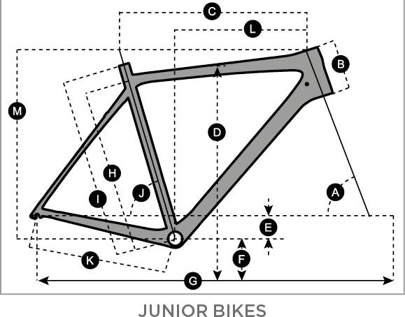 SCOTT SCALE JR 24 PLUS - Review, Test & Price