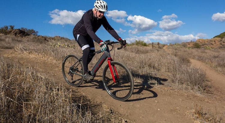 RALEIGH TAMLAND IE STEP OVER Test, Reviews Price