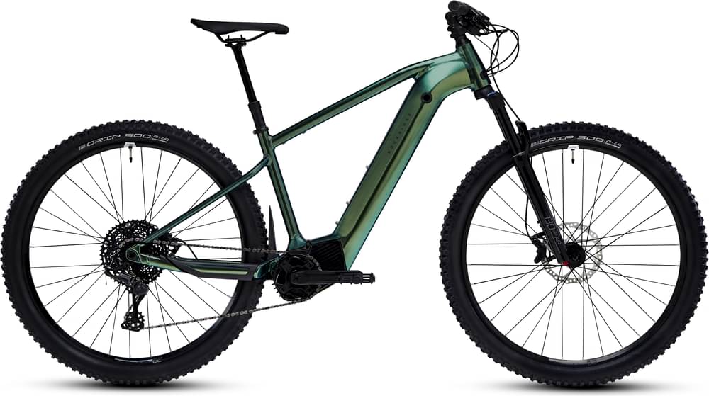 ROCKRIDER 29-INCH LONG-DISTANCE HARDTAIL ELECTRIC MOUNTAIN BIKE