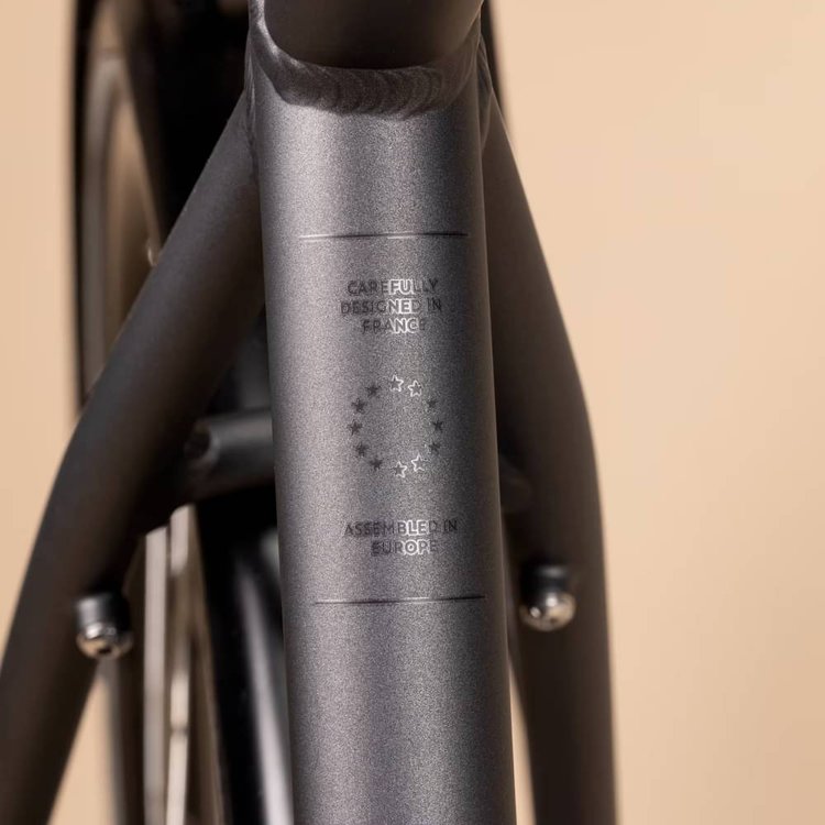 ELOPS LONG DISTANCE 500 ELECTRIC ASSIST CITY BIKE STEP-OVER FRAME 2024 ...