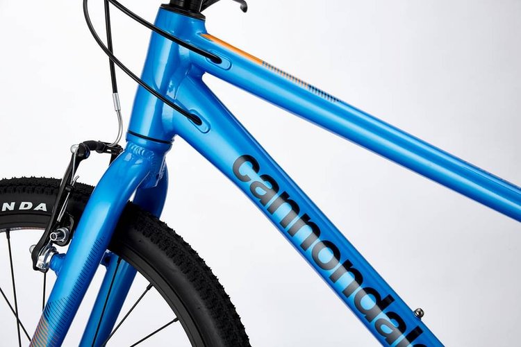 CANNONDALE KIDS QUICK 20 BOY'S 2022 - Test, Opiniones y Precio