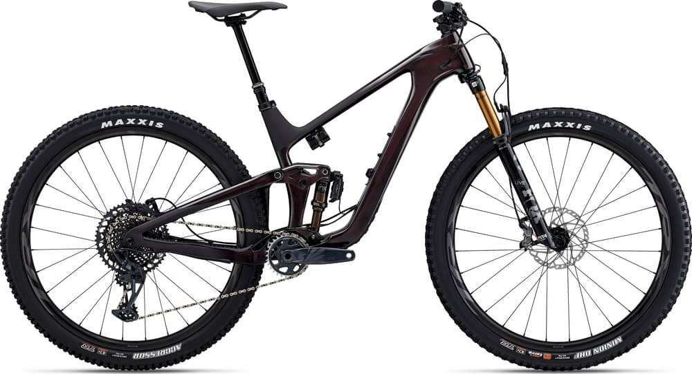 GIANT TRANCE ADVANCED, PRO 29 1 - Review, Test & Price