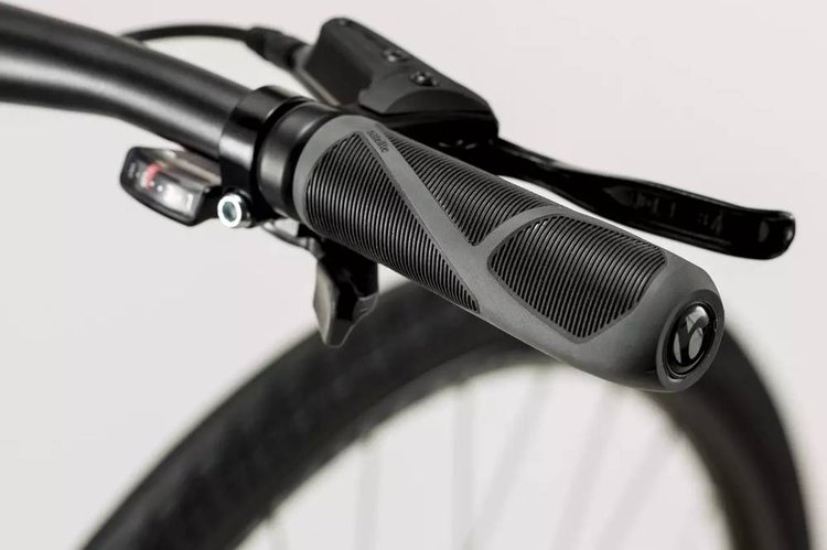 TREK FX 2 DISC 2020 - Review, Test & Price