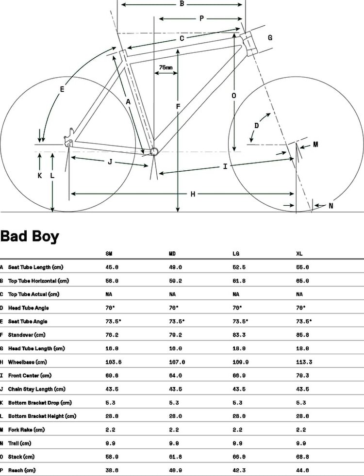 Photo du Cannondale Bad Boy 1 2024