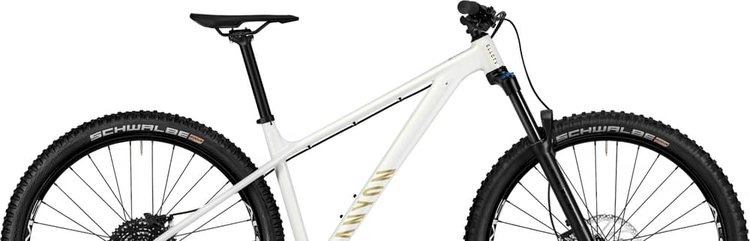 CANYON STOIC 2 - Specs, Review, Test & Price