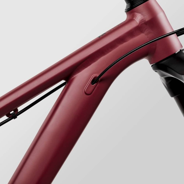 CANYON STOIC 3 - Specs, Review, Test & Price
