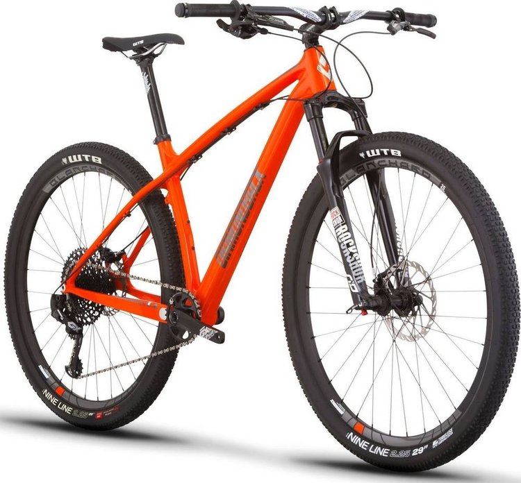 DIAMONDBACK OVERDRIVE 29C 2 CARBON - Review, Test & Price