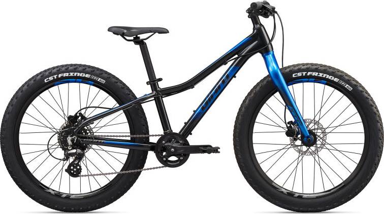 GIANT XTC JR 24 + - Review, Specs & Price