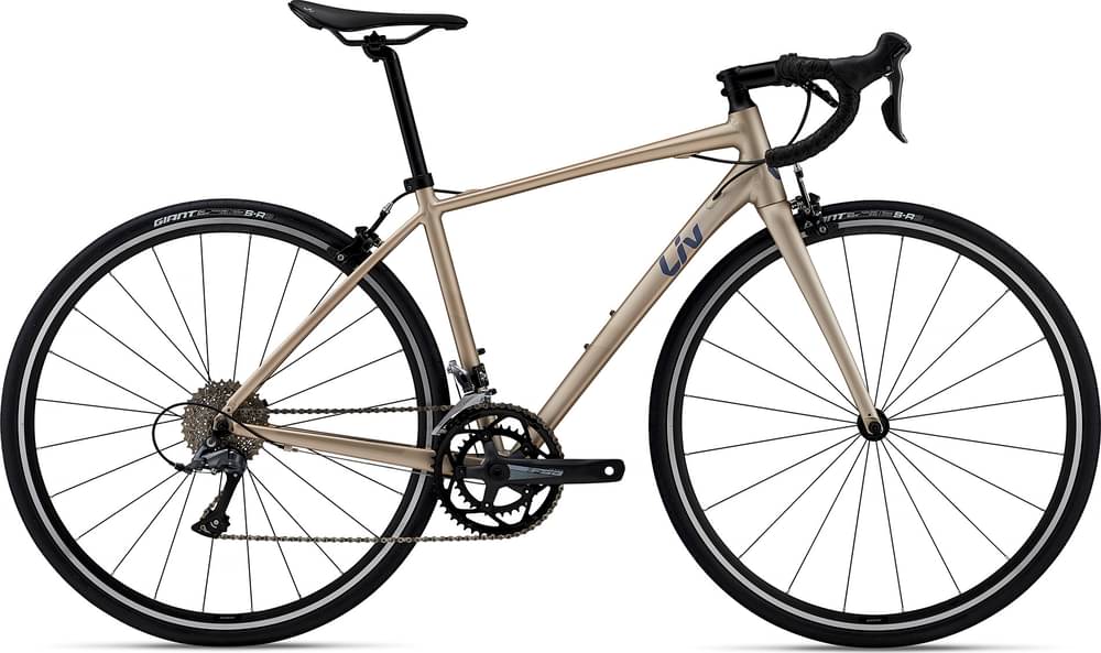 SCOTT CONTESSA SPEEDSTER 35 - Review, Weight & Price