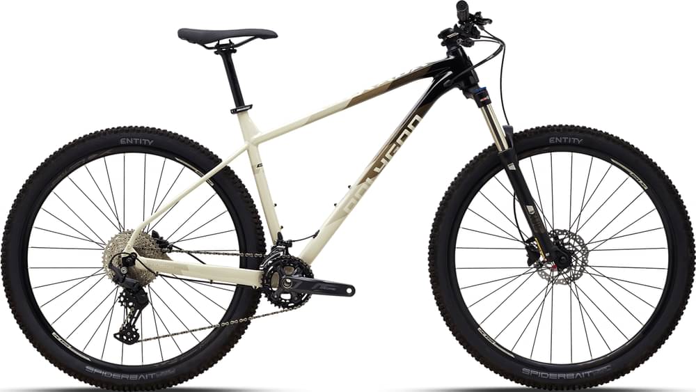 POLYGON XTRADA 6 2×11 - Review, Test & Price