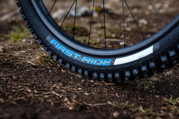 PROPAIN RAGE 3 R CF 29 FACTORY 2025 - Test, Erfahrungen & Preis