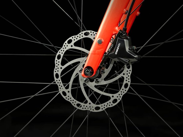 Photo du Trek FX 2 Gen 4 2025