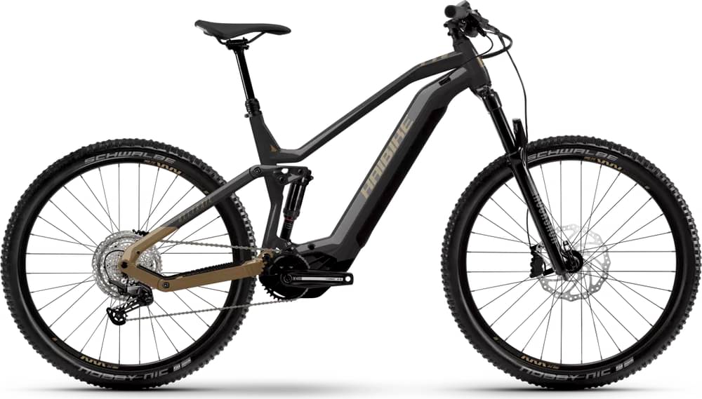 Bulls Sonic Evo AM SL 1 29 pouces VTT électrique
