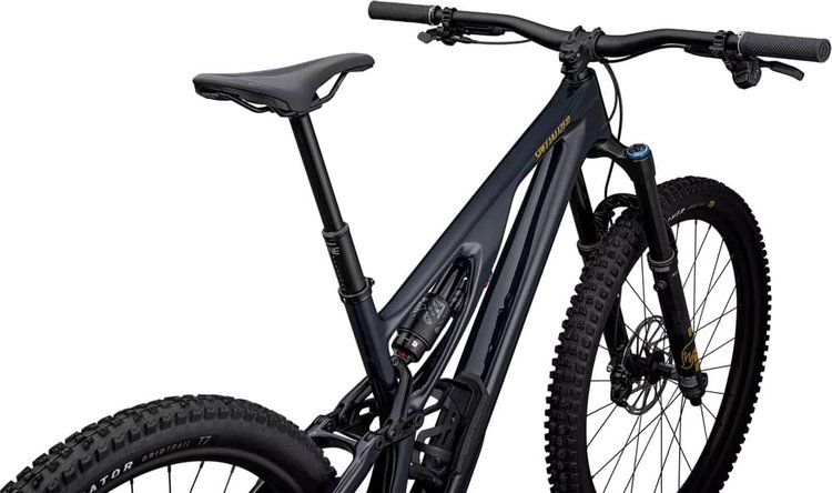 SPECIALIZED STUMPJUMPER EVO EXPERT T-TYPE - Review, Test & Price