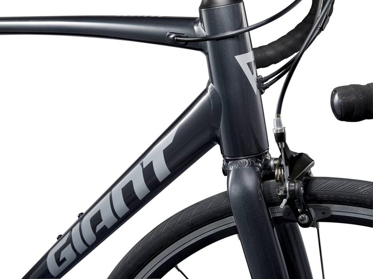 Photo du Giant Contend 3 2025