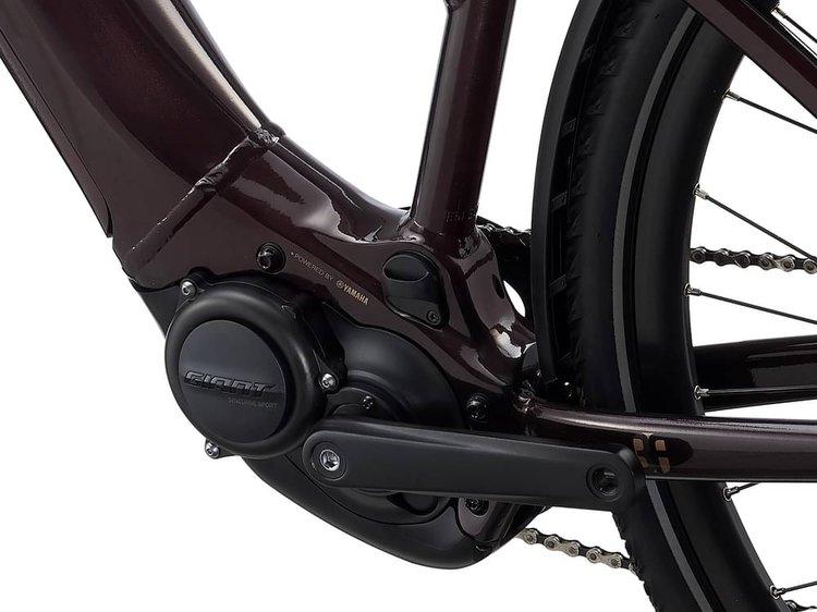 LIV AMITI E+ 2 2021 - Review, Test & Price