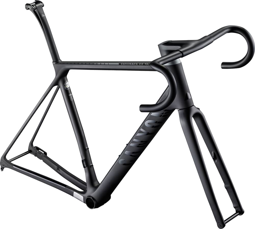 CANYON ENDURACE CF SL DISC FRAMESET ELECTRIC 2021 - Review, Test