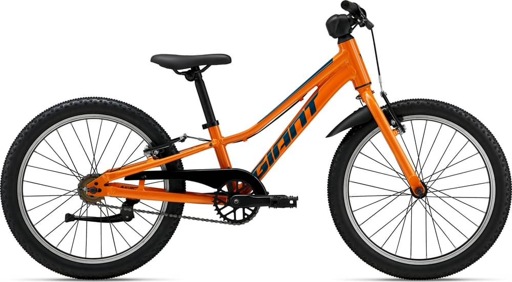 GIANT XTC JR 24 + - Review, Test & Price