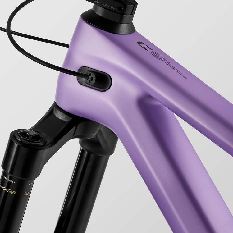 CANYON TORQUE MULLET CF 9 2024 - Review, Specs & Price