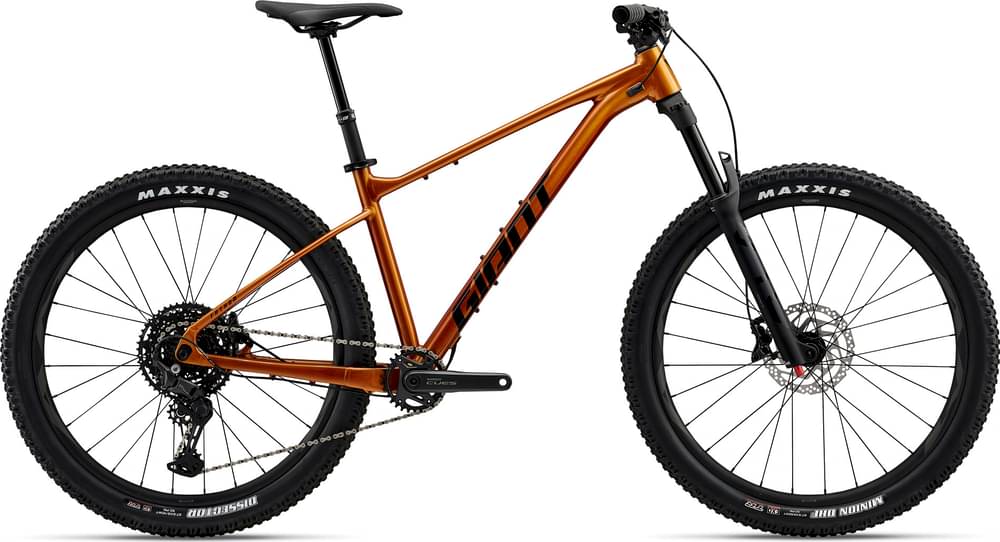 GIANT FATHOM 2025 - Review, Specs & Price