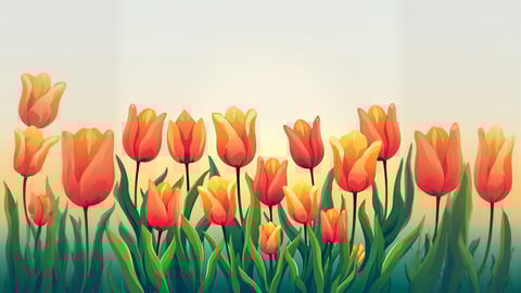 A Field of Tulips in the Netherlands Desktop Preview