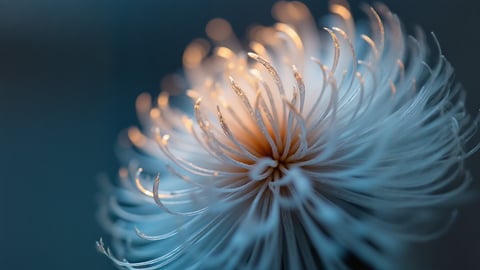 Crystallization of Ice on a Window in Bright Morning Light Desktop Preview