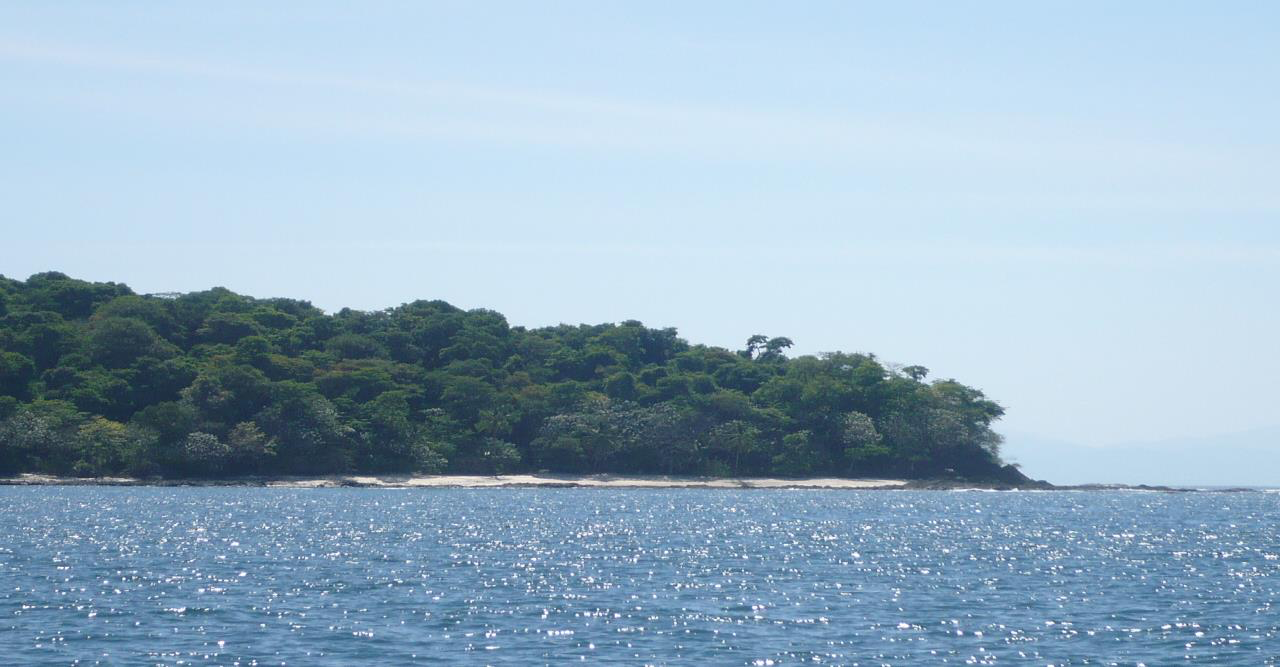 Isla de 10 hectáreas junto a Isla Cébaco — vista de la costa boscosa
