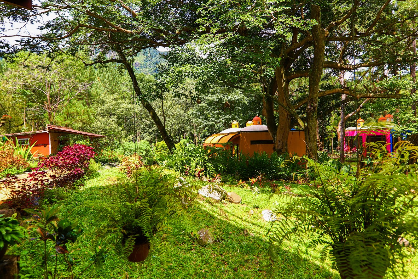 Vista de las Casa Principal y Jardín