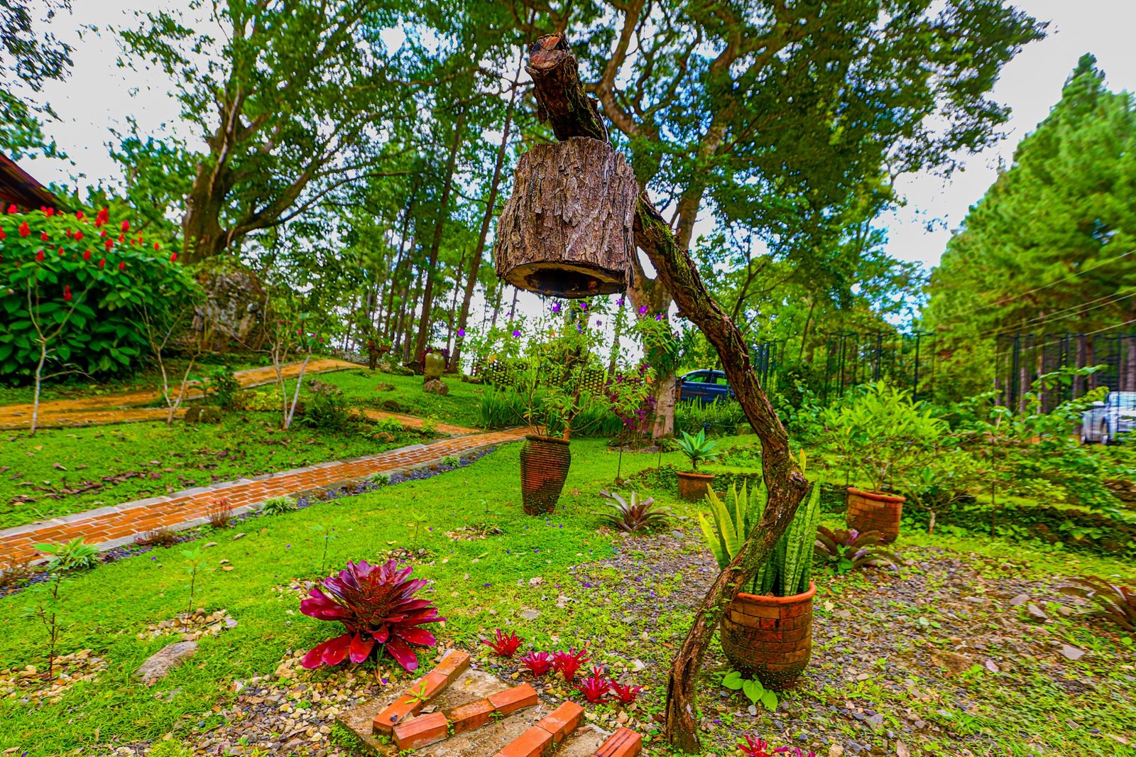 Jardin