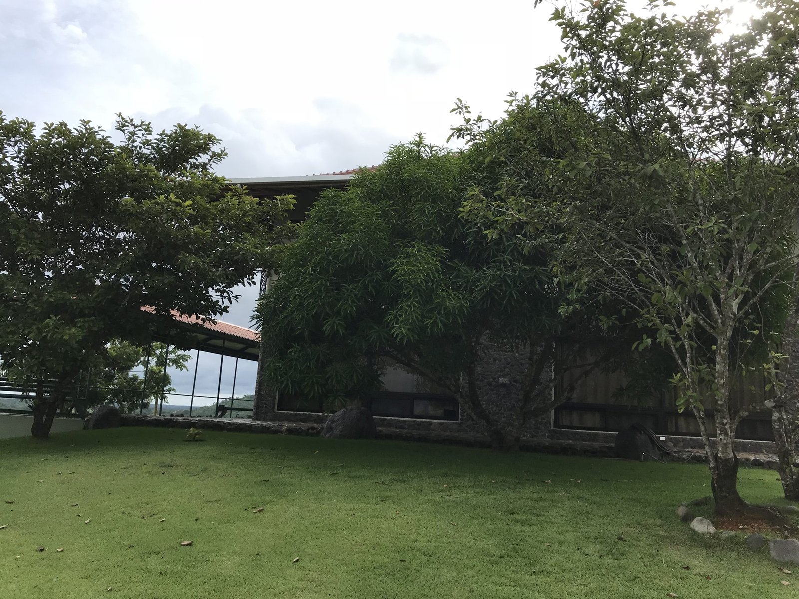 Left-side-view-of-house-scaled
