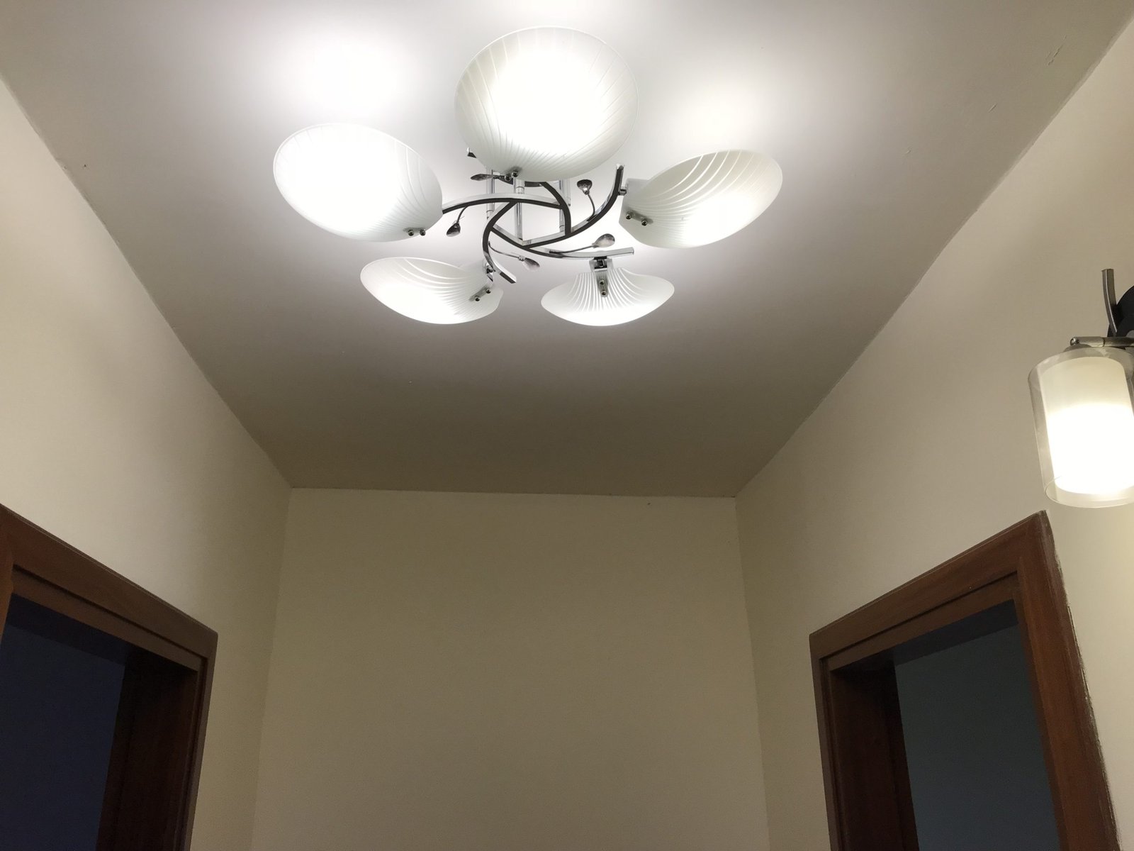 lights