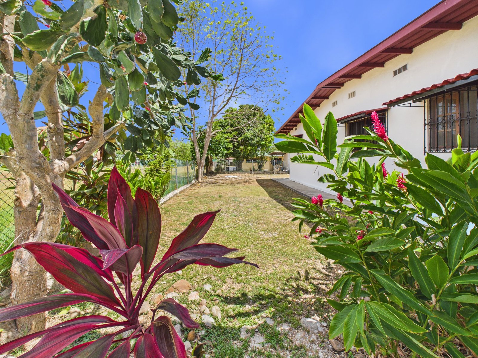 Casa en Antón — jardín con plantas tropicales