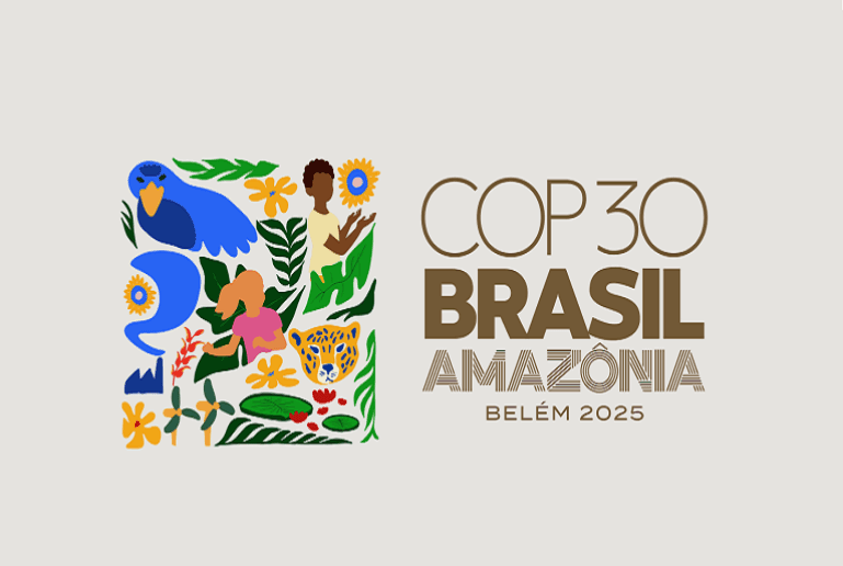 COP30.png