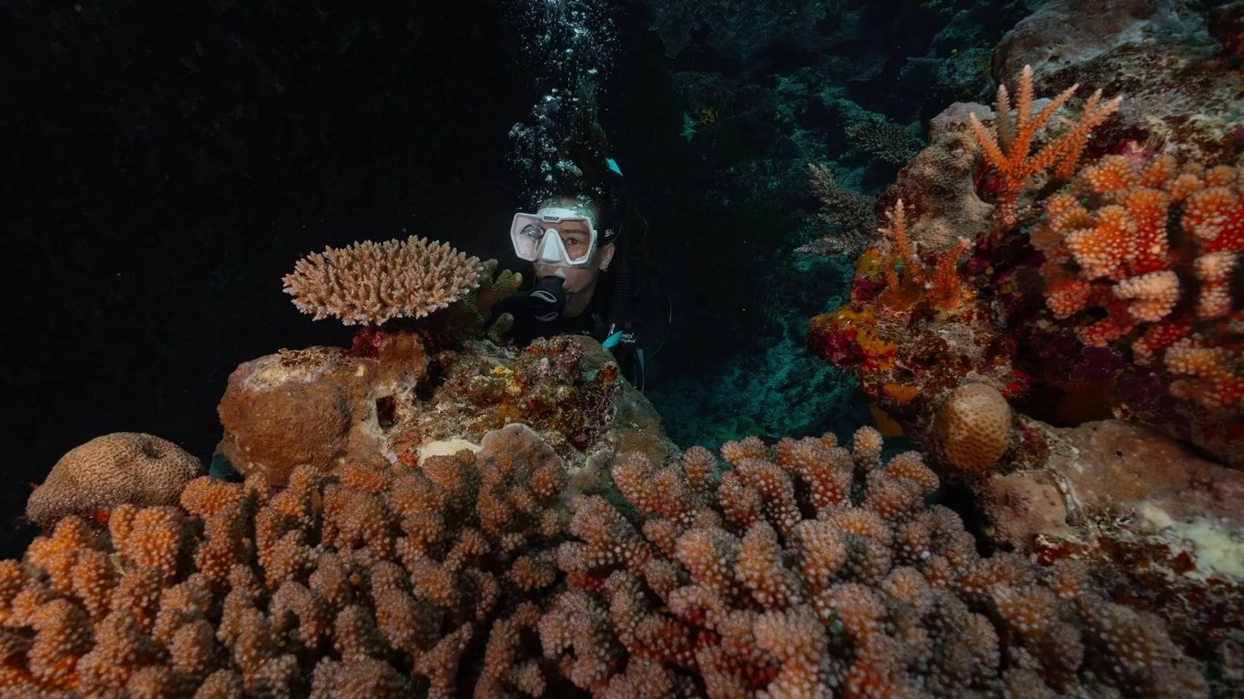 Diver exploring a coral-filled gully at Paul's Rock, Vanuatu