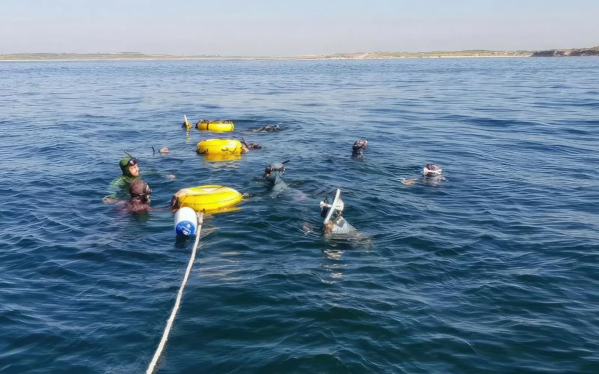 Freedivers gathered around surface buoys and training lines