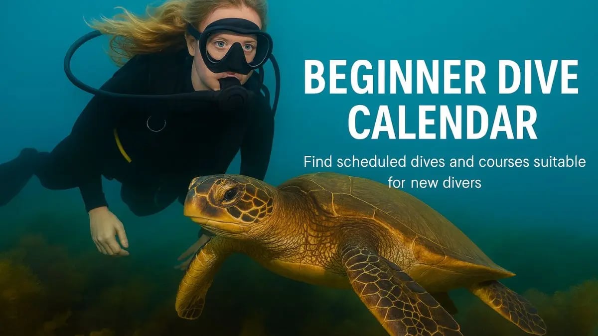 Beginner Dive Calendar – Guided Dives & Marine Life Adventures