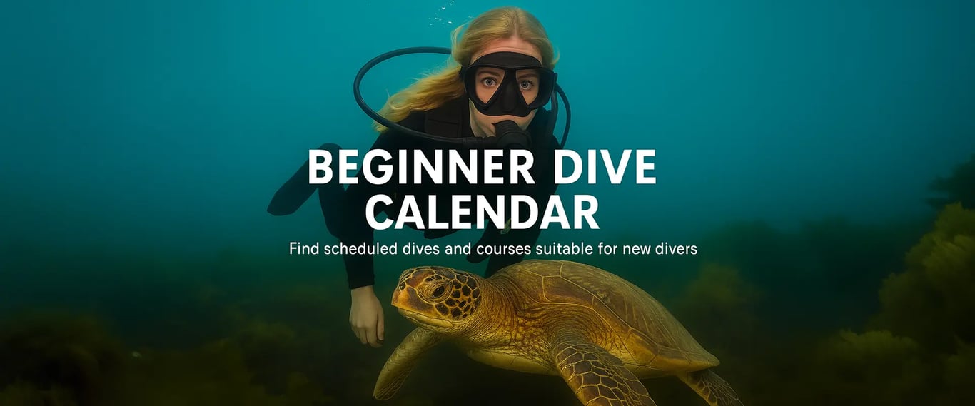 Beginner Dive Calendar – Guided Dives & Marine Life Adventures