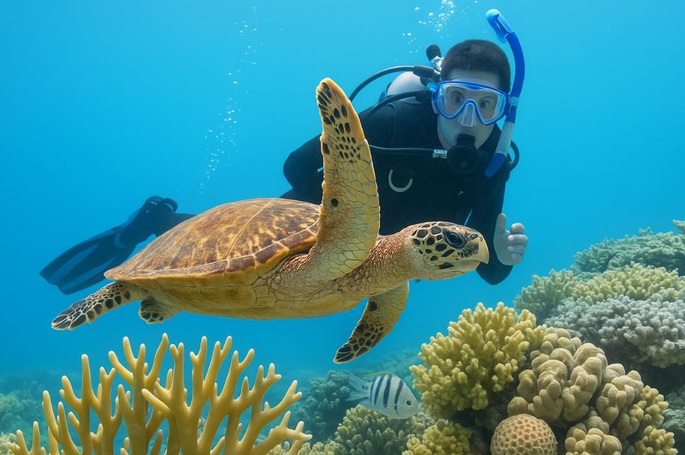 Diving the Great Barrier reef