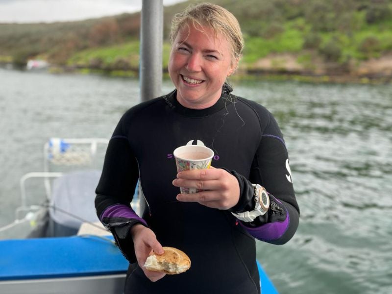 Preparation for a shark diving adventure, with essential dive gear and equipment laid out.