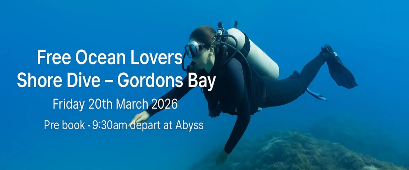 Ocean Lovers Festival Shore Dive – Gordons Bay