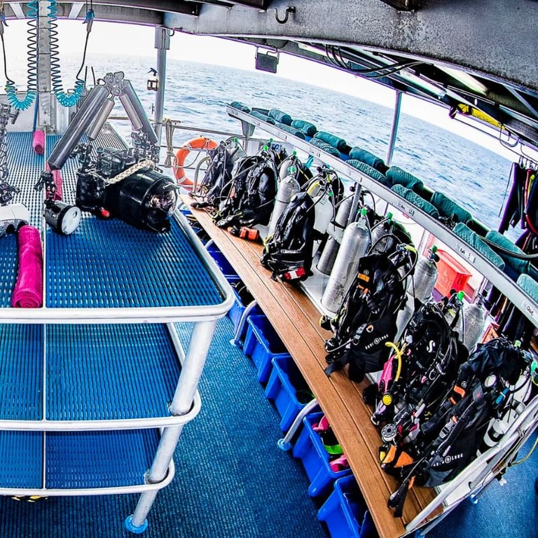 Gear hire & travel assistance