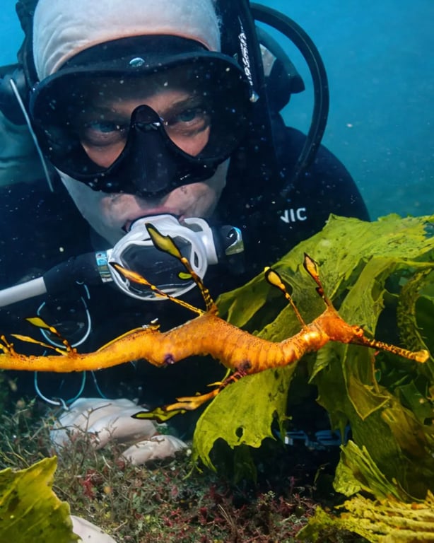 Underwater diver exploring Sydney