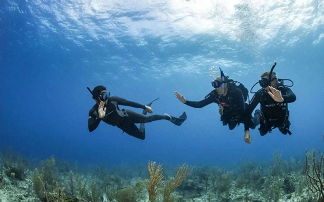 A freediver and scuba divers sharing the underwater environment in separate activity groups