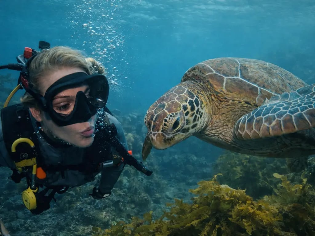 Diver interacting with a sea turtle underwater